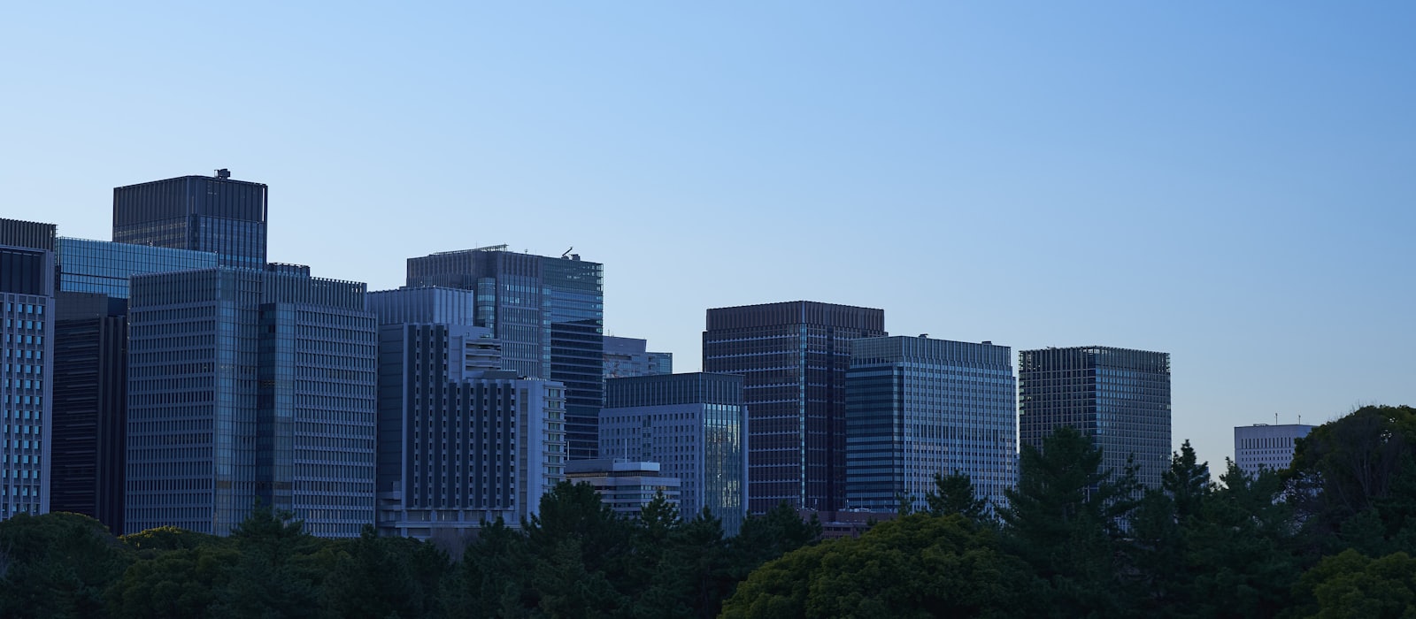 A skyline of corporate office towers rising above trees