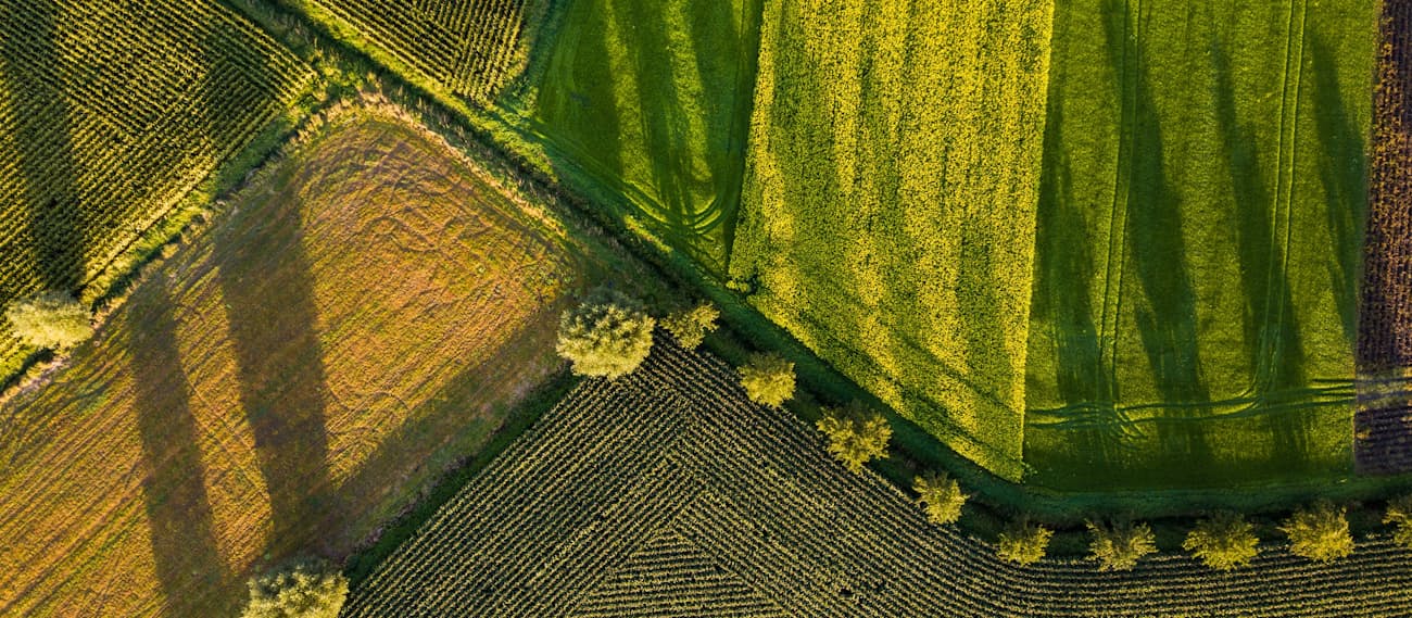 An aerial view of farmland divided into differently coloured fields