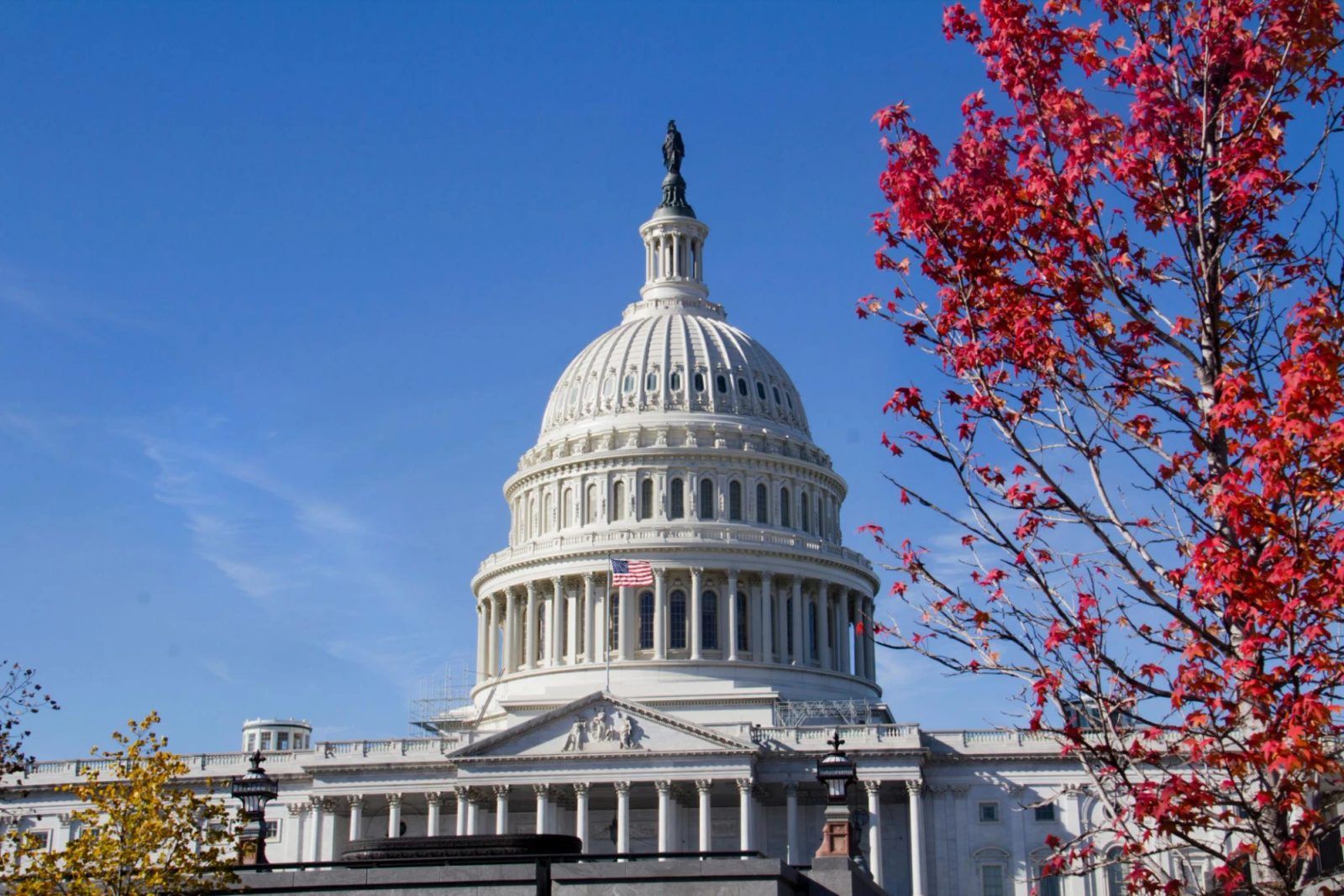 The US Capitol dome under a clear blue sky, framed by red autumn leaves