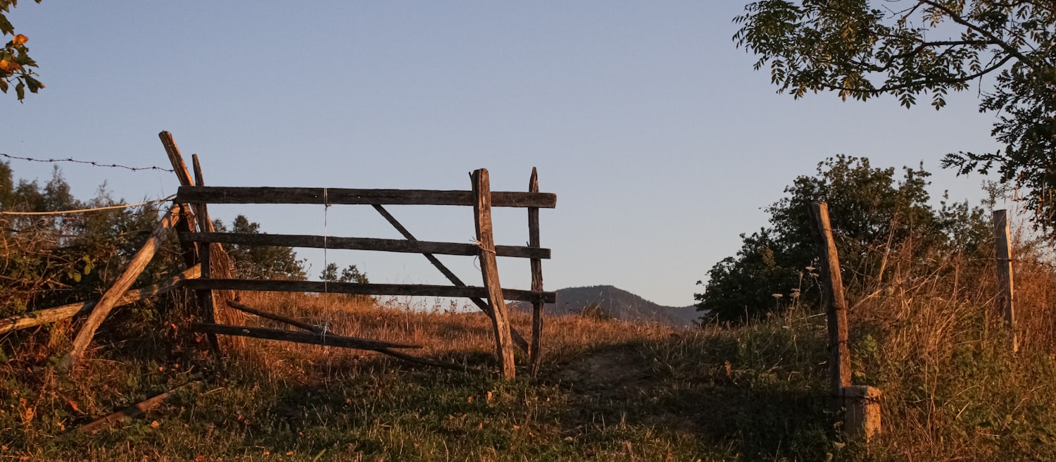 An open wooden gate in a field fence at golden hour