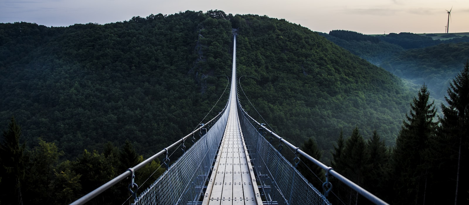 A long suspension footbridge stretching across a forested valley