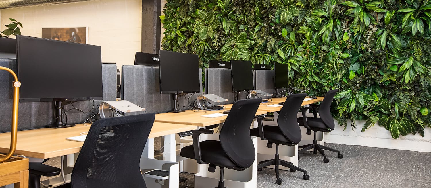 A row of empty desks with monitors in an office, beside a wall of plants