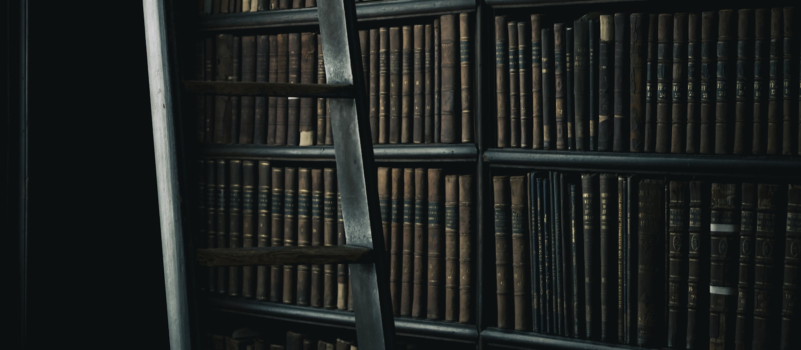 A dark wall of numbered leather-bound volumes with a library ladder leaning across it