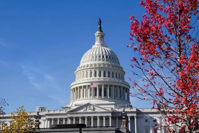 The US Capitol dome under a clear blue sky, framed by red autumn leaves