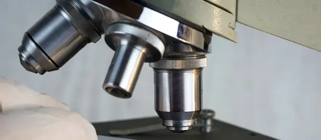 Close-up of microscope objective lenses above a slide stage