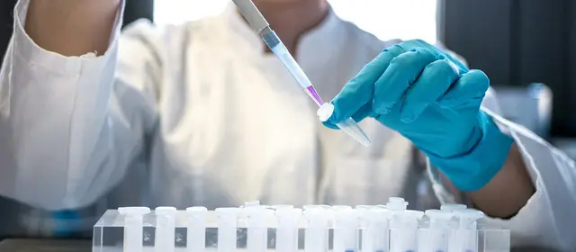 A researcher in blue gloves pipetting a sample into tubes in a laboratory