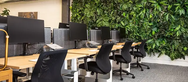 A row of empty desks with monitors in an office, beside a wall of plants
